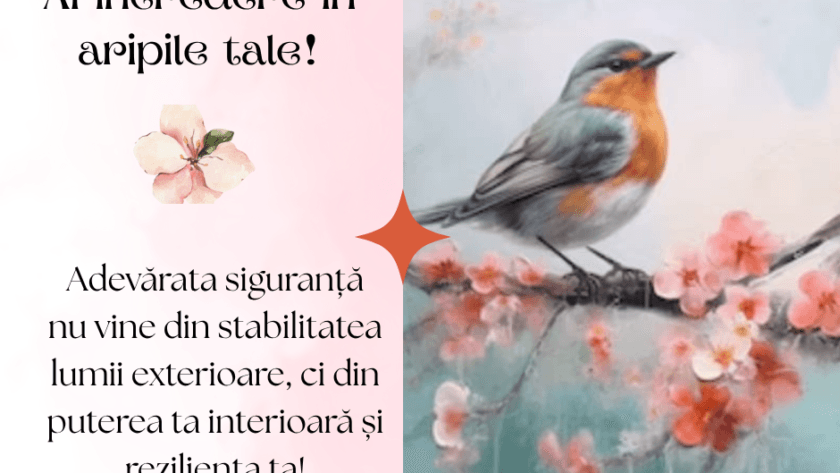 Ai încredere în aripile tale! | Loredana Pod